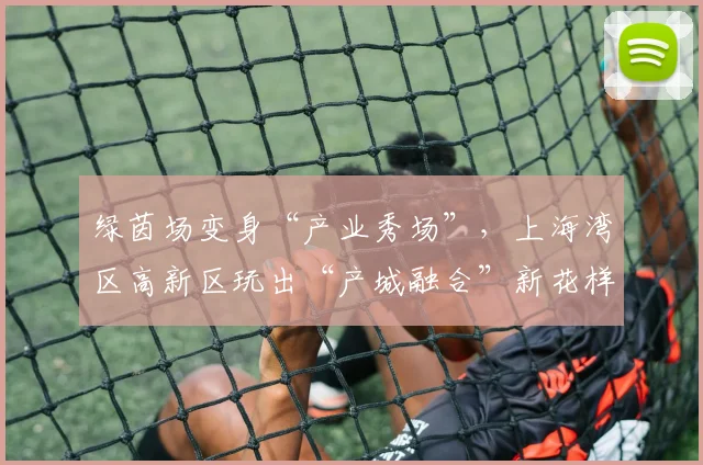 绿茵场变身“产业秀场”，上海湾区高新区玩出“产城融合”新花样_1