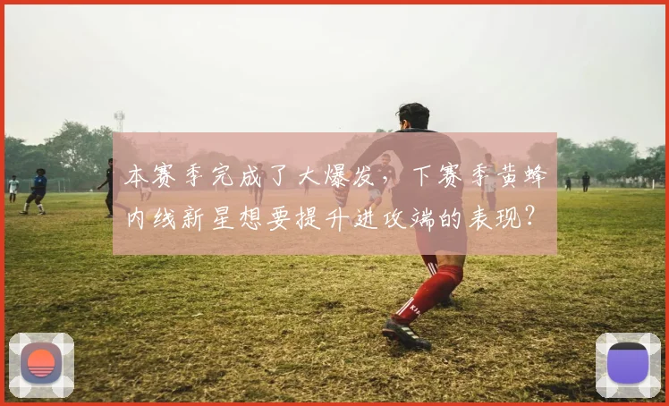 本赛季完成了大爆发，下赛季黄蜂内线新星想要提升进攻端的表现？_网易订阅
